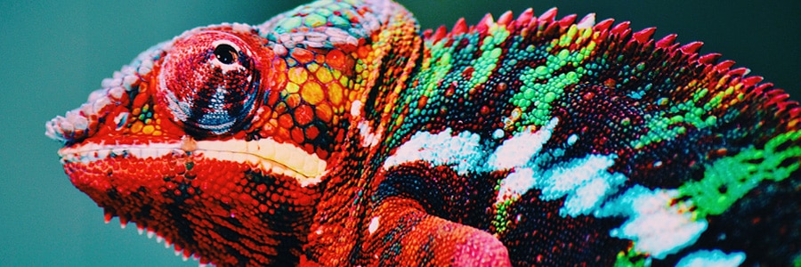 TAB &ndash; Exterior Doors &ndash; Paint Colors & Discover Your Color &ndash; Paint Colors 2021