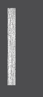 Exterior Door Glass – Mistify Exterior Door Glass – Mistify