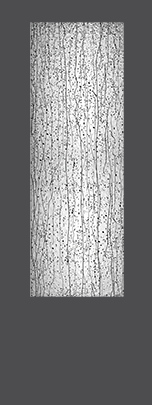 Exterior Door Glass – Mistify Exterior Door Glass – Mistify