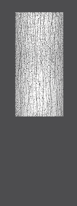 Exterior Door Glass – Mistify Exterior Door Glass – Mistify