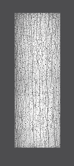 Exterior Door Glass – Mistify Exterior Door Glass – Mistify