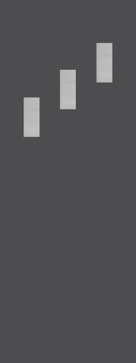 Exterior Door Glass – Chinchilla Exterior Door Glass – Chinchilla