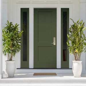 2-panel flat shaker green front door